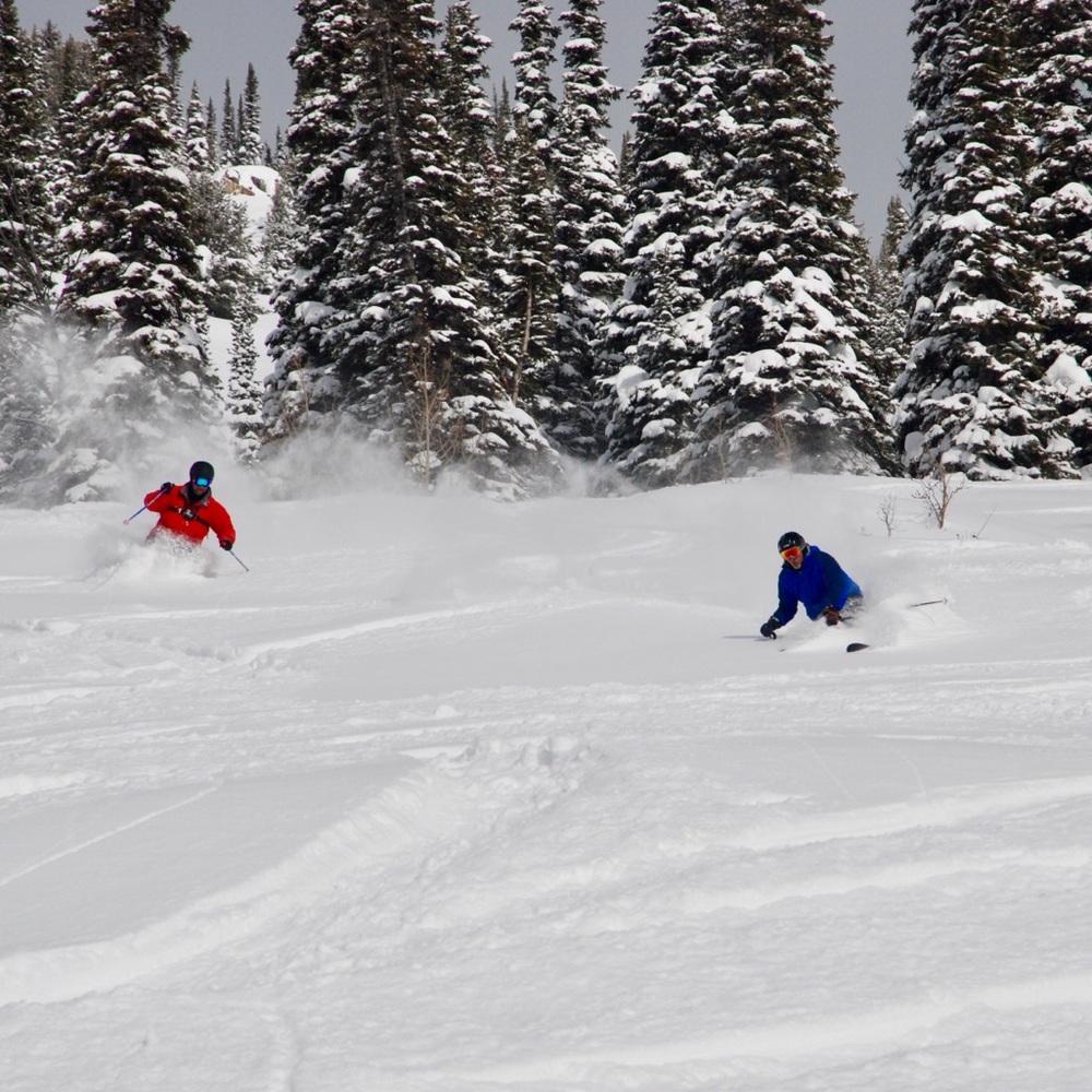 Meet your Posher, Ella